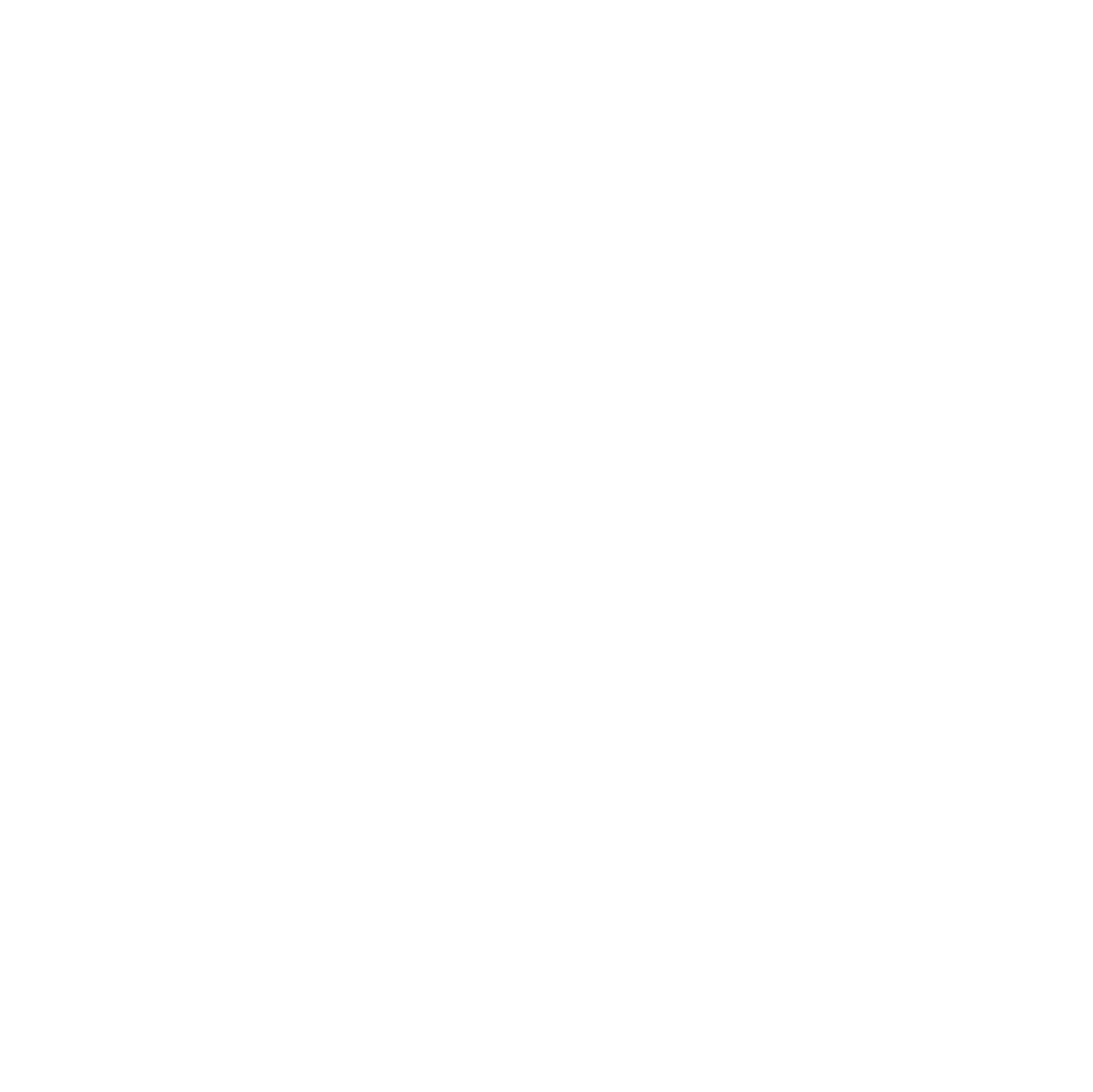 Instagram white Logo