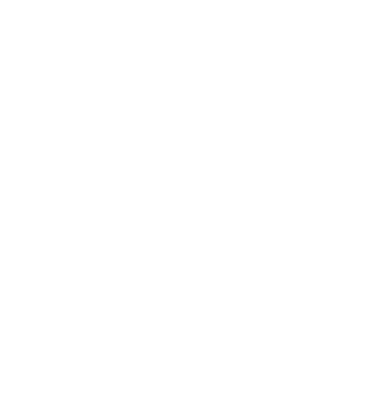 WhatsApp white Logo